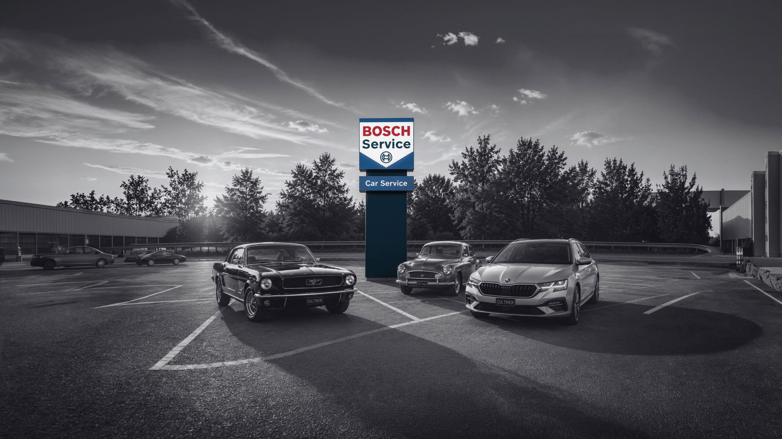 Bosch Car Service Cultimer
